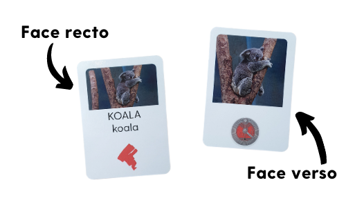 nos cartes de jeu