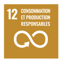 objectif-12-une-consommation-et-production-durables-1