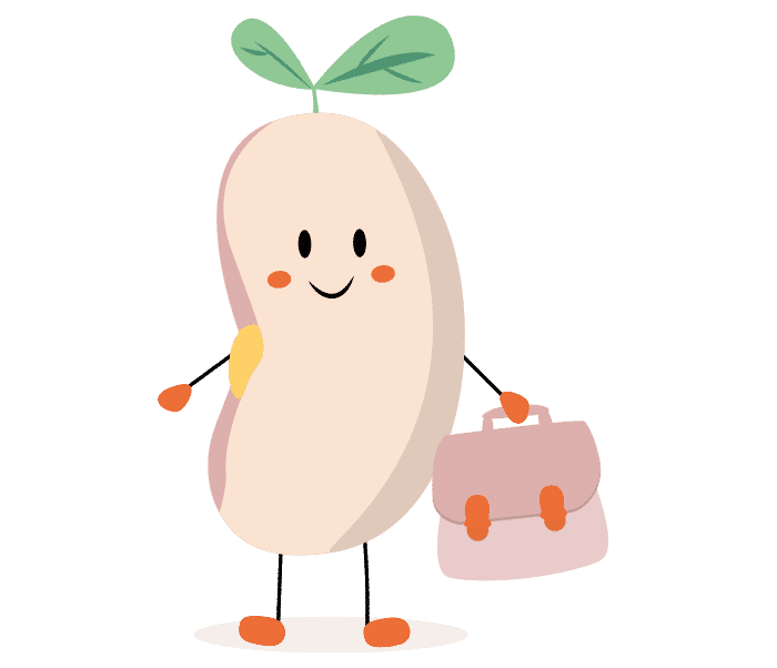 Lily de Lilylearn